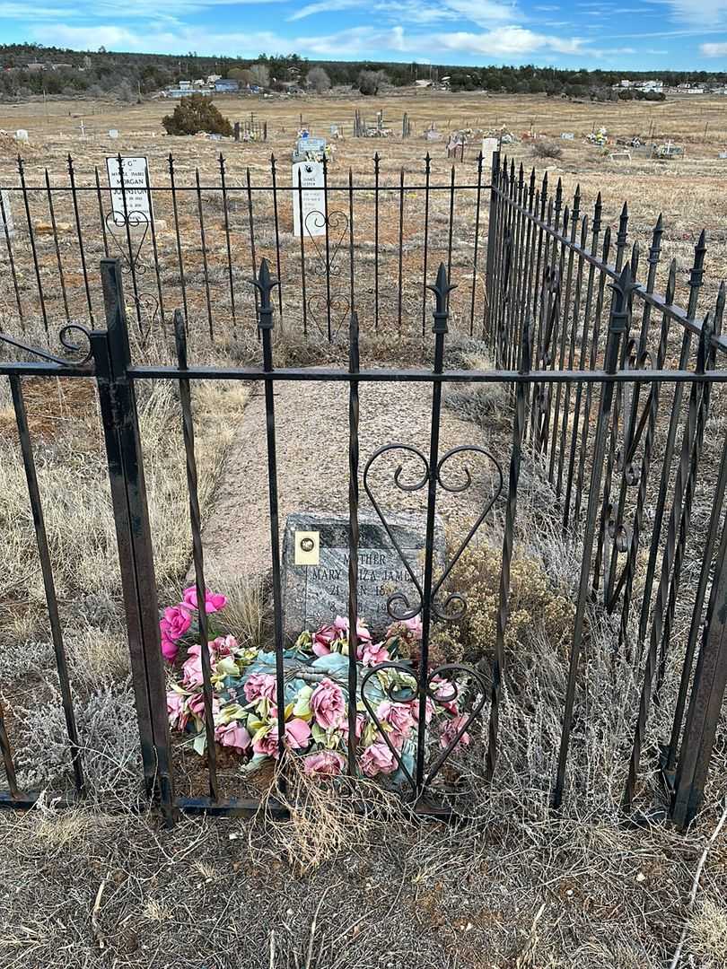 Mary Eliza James's grave. Photo 2
