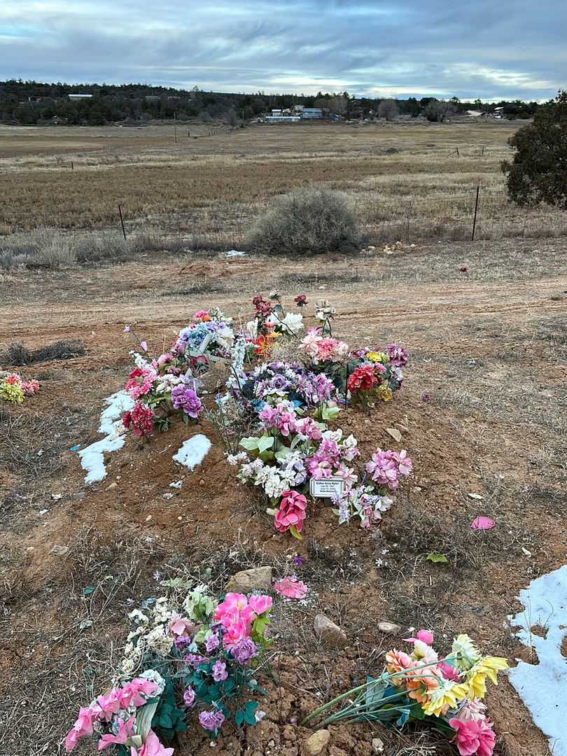 Esther Anna Natan's grave. Photo 2