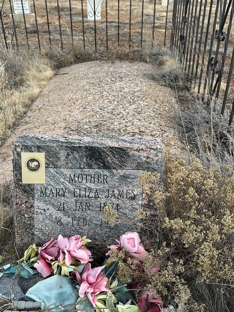 Mary Eliza James's grave. Photo 1