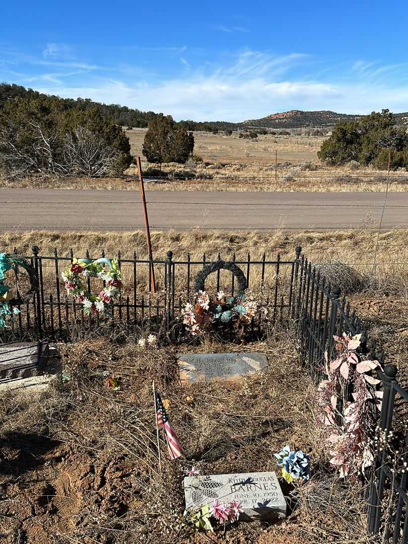 Cecil Edward Barnes's grave. Photo 1