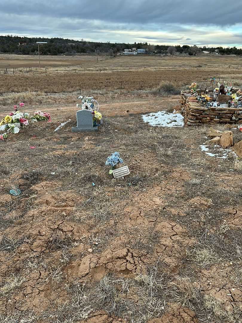 John White's grave. Photo 2