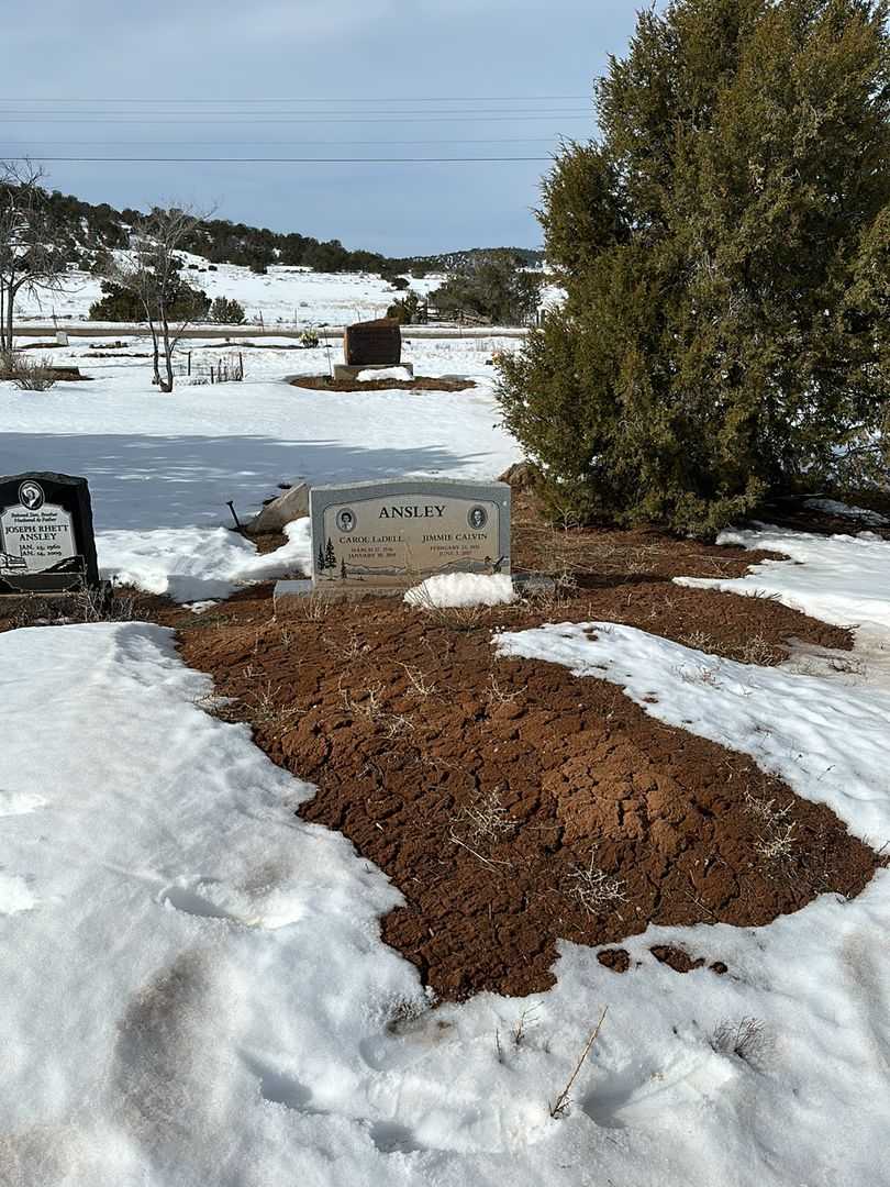 Carol LaDell Ansley's grave. Photo 2