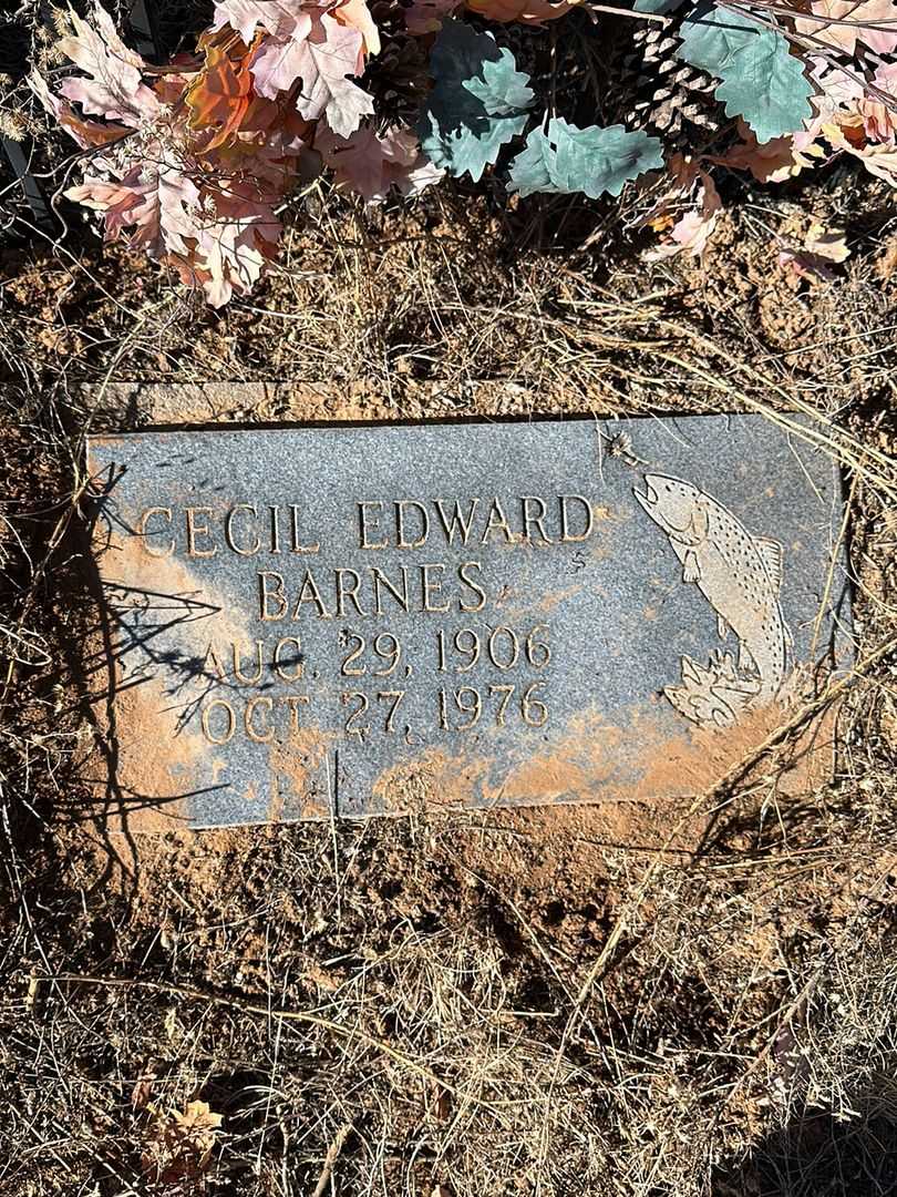 Cecil Edward Barnes's grave. Photo 2