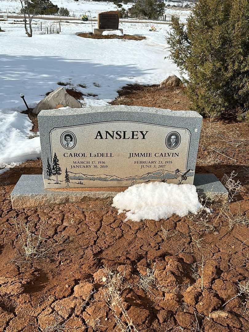 Carol LaDell Ansley's grave. Photo 1