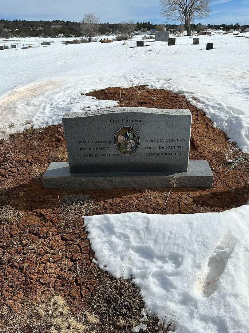 Carol LaDell Ansley's grave. Photo 3