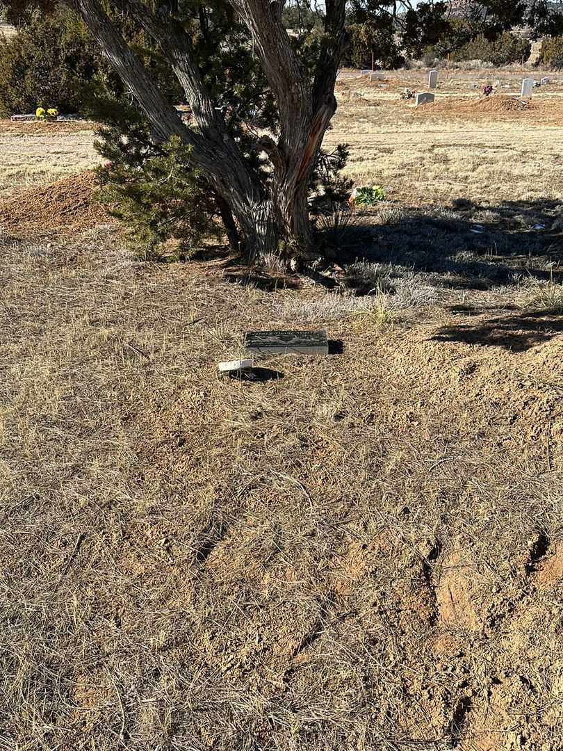 Tracy Diane Watts's grave. Photo 2