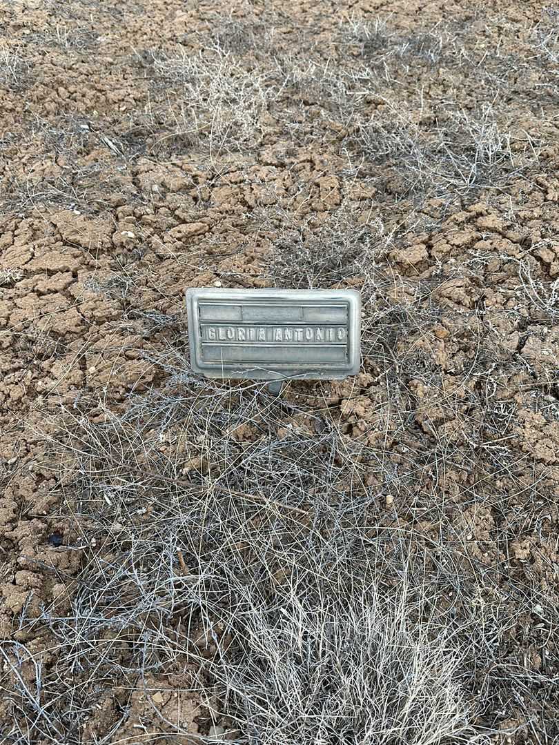 Gloria Ann Antonio's grave. Photo 1