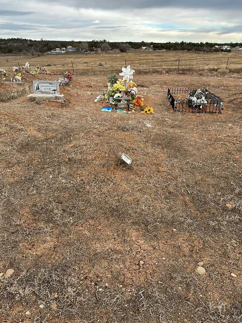 Nellie B. Chatto's grave. Photo 2