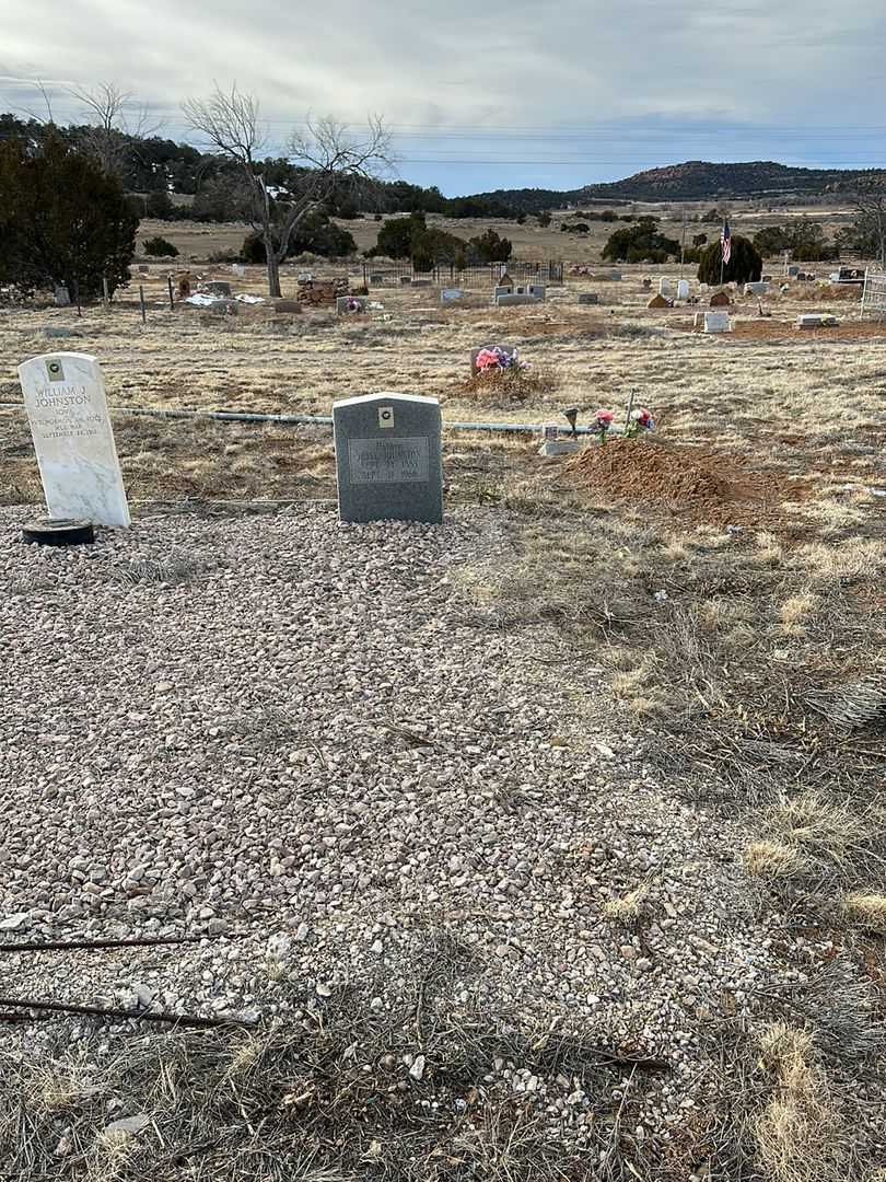 Jesse Johnston's grave. Photo 2