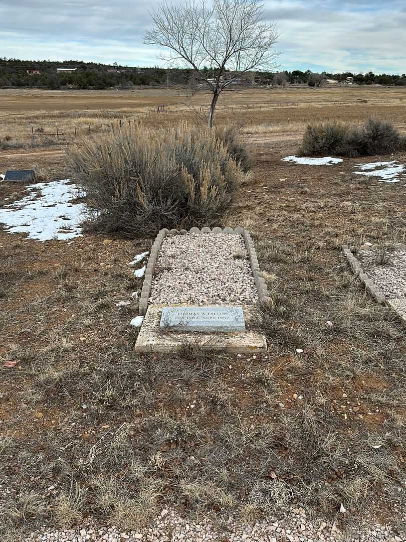 Thomas Arthur Fallon Junior's grave. Photo 1