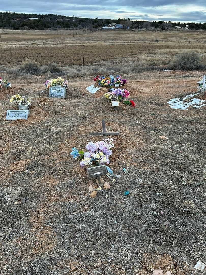 Bessie Pino's grave. Photo 2