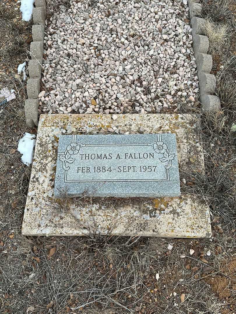 Thomas Arthur Fallon Junior's grave. Photo 2