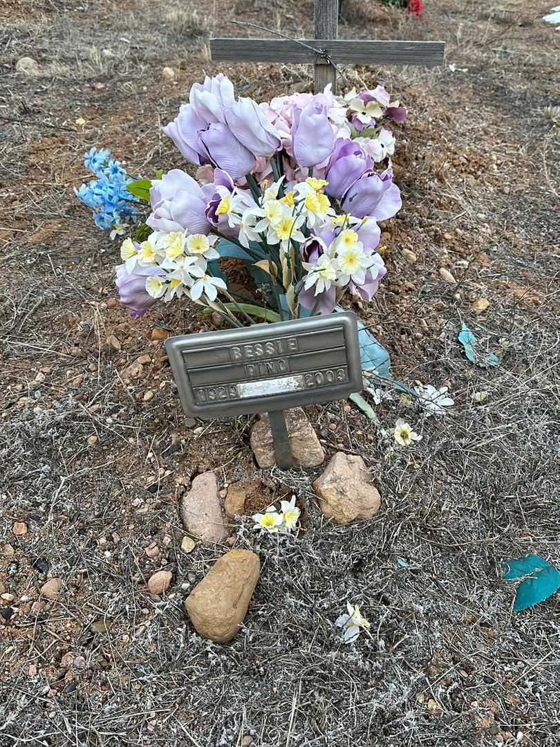 Bessie Pino's grave. Photo 1