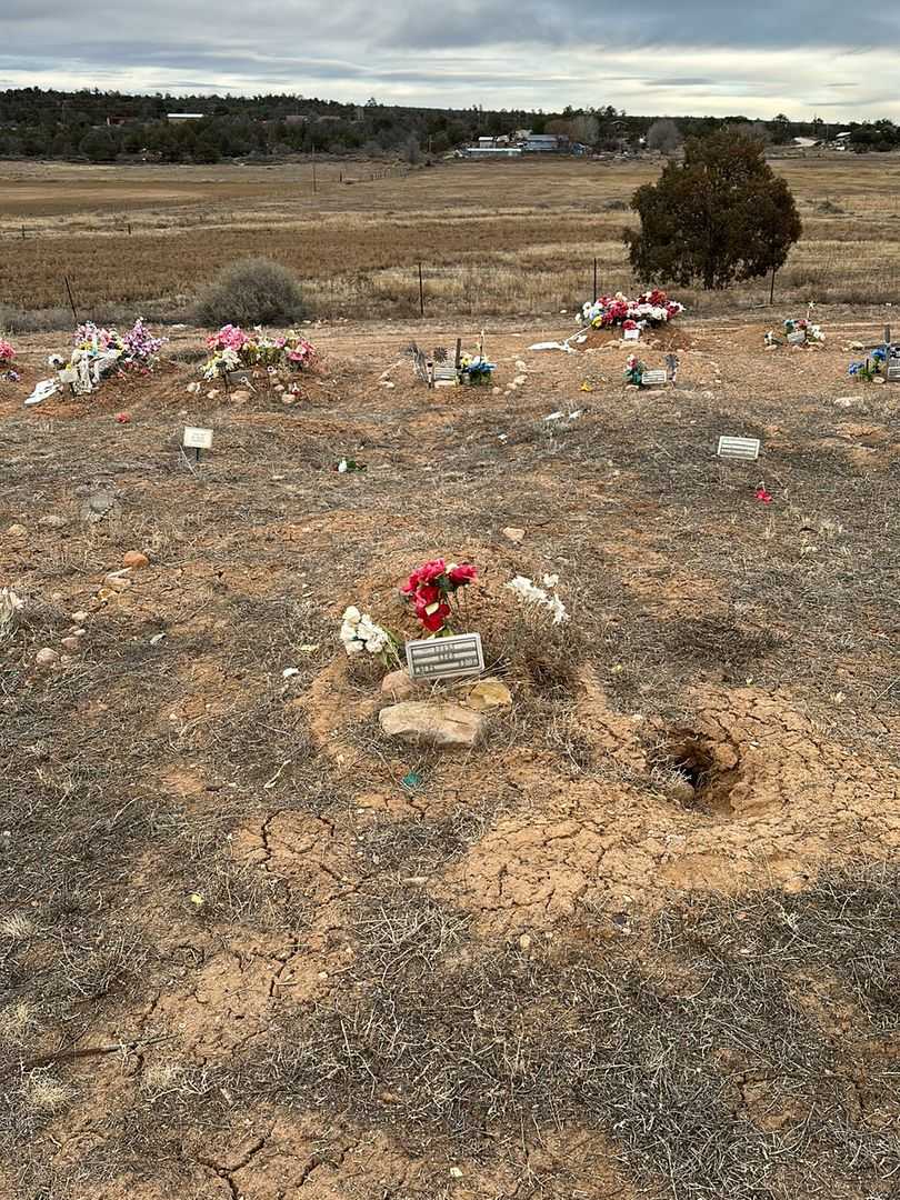 Dick Nez's grave. Photo 2