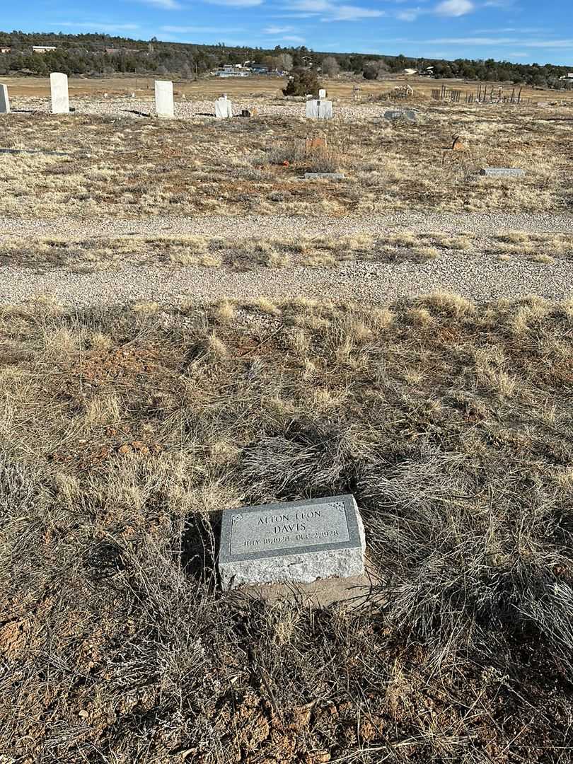 Alton Leon Davis's grave. Photo 2