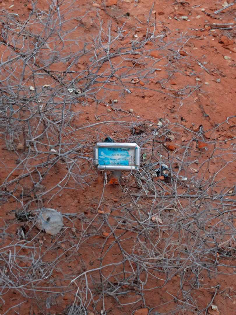 Desbah Samuel's grave. Photo 1