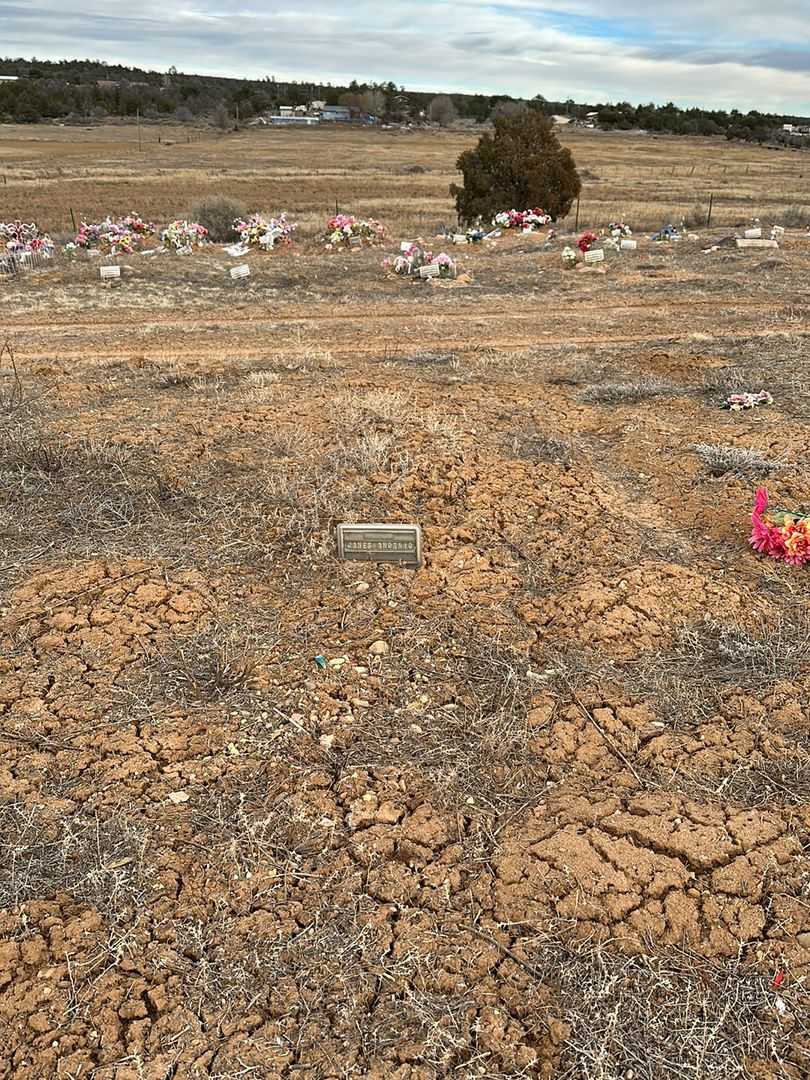 James D. "Jake" Antonio's grave. Photo 2