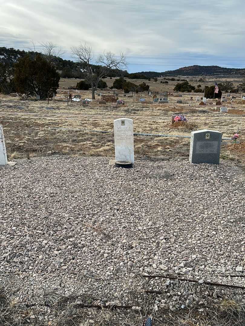 William James Johnston's grave. Photo 2