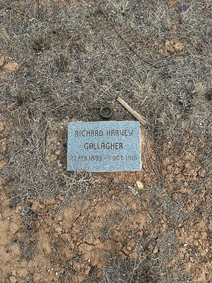 Richard Harvey Gallagher's grave. Photo 1