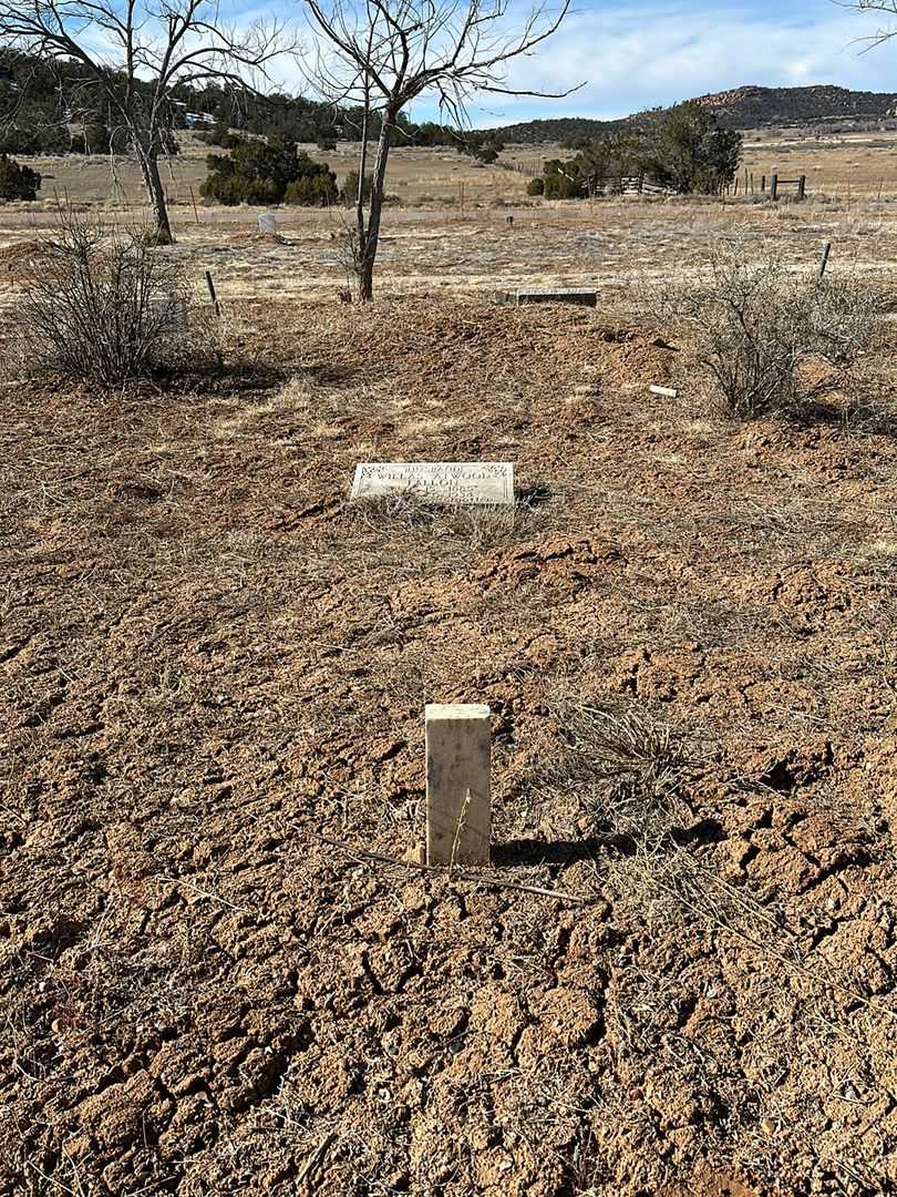 Willas Atwood Fallon's grave. Photo 2