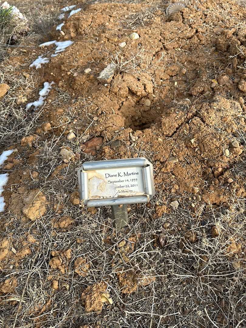 Diane Kay Martine's grave. Photo 1