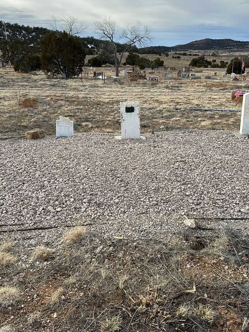 George A. Johnston's grave. Photo 2