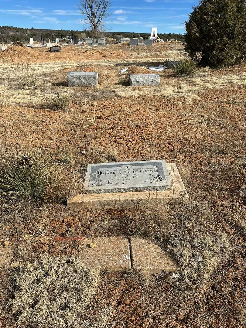Mark Arthur "Bud" Elkins Junior's grave. Photo 2