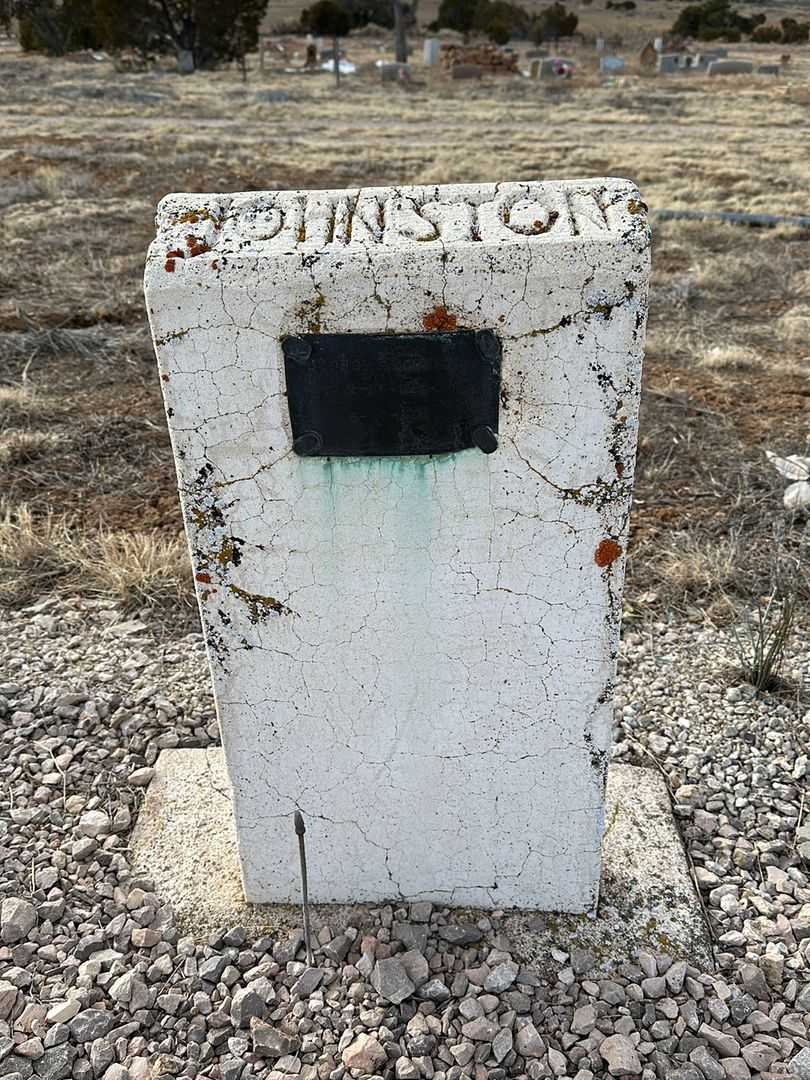 George A. Johnston's grave. Photo 1