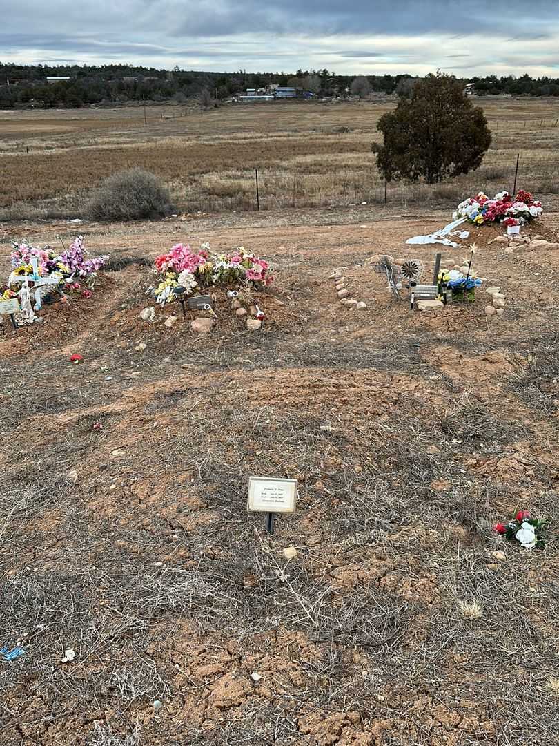 Francis V. Pino's grave. Photo 2