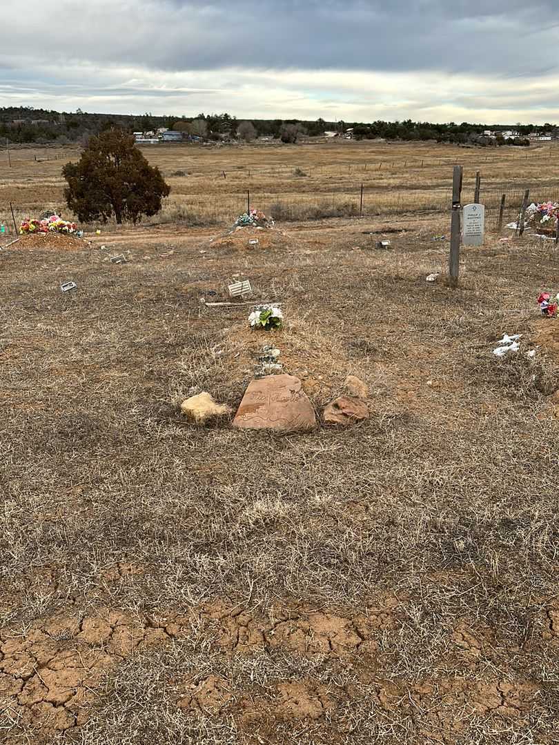 Alex Martine's grave. Photo 2