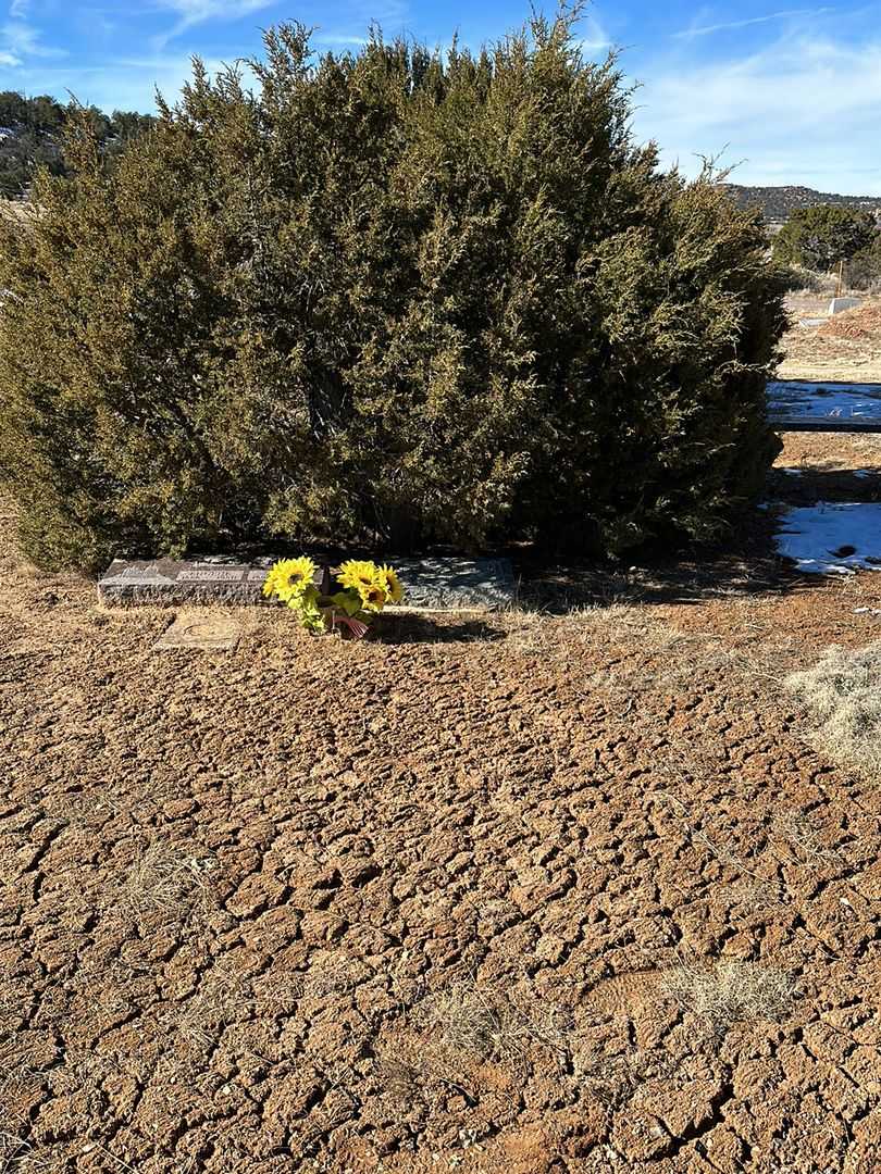 Sarah A. Lambson's grave. Photo 2