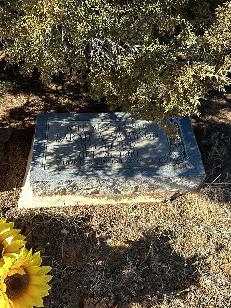 Sarah A. Lambson's grave. Photo 1