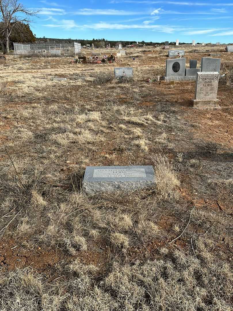 Lula Eugenia Hassell Lewis's grave. Photo 2
