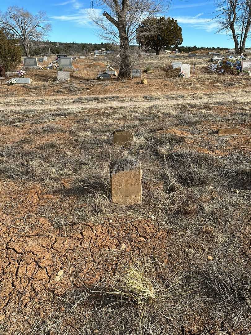 Don Carlos Hawkins's grave. Photo 2
