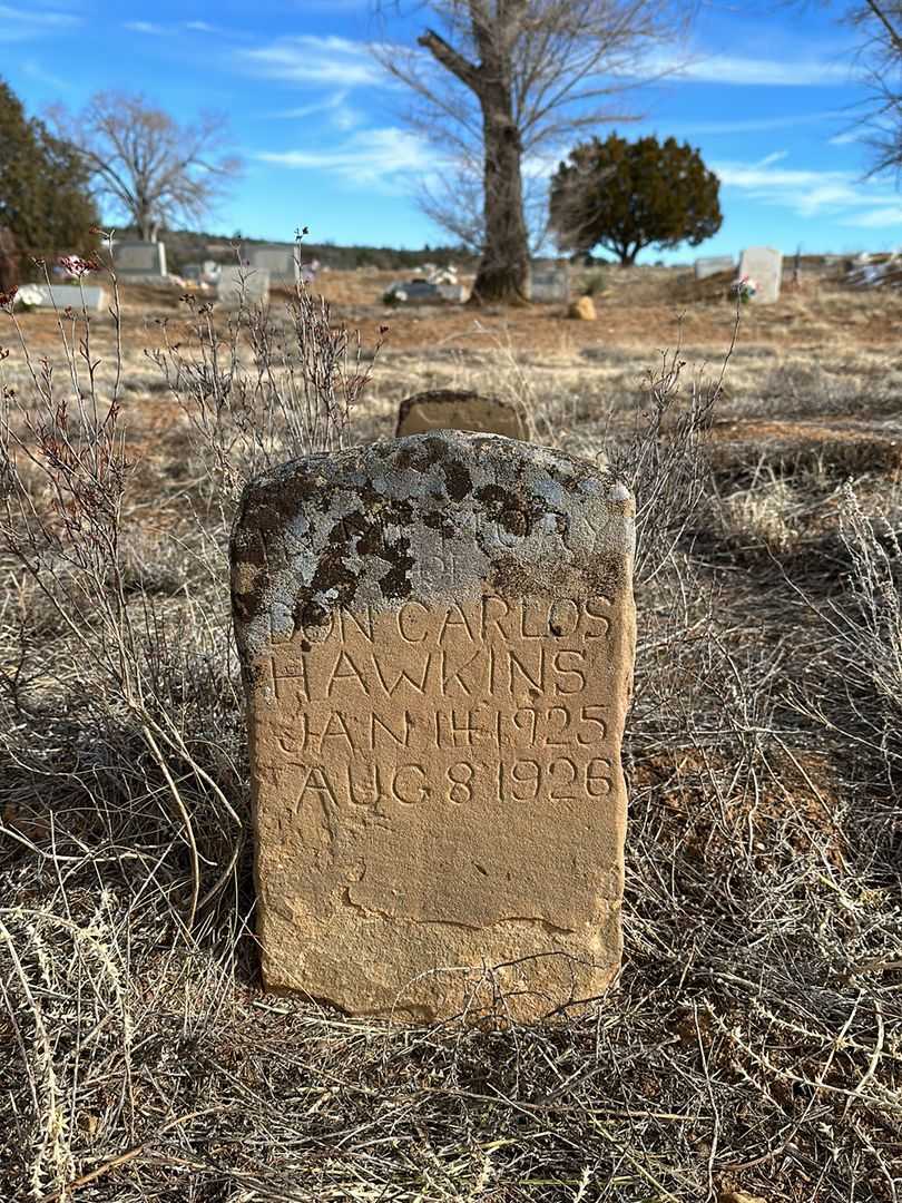 Don Carlos Hawkins's grave. Photo 1