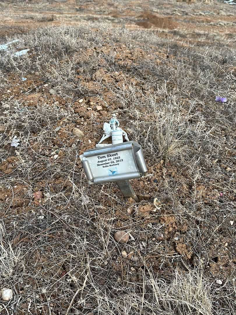 Tom Skeet's grave. Photo 1