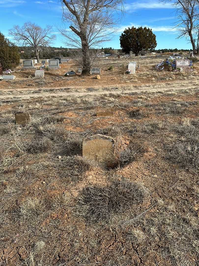 Thomas Owen Hawkins's grave. Photo 2