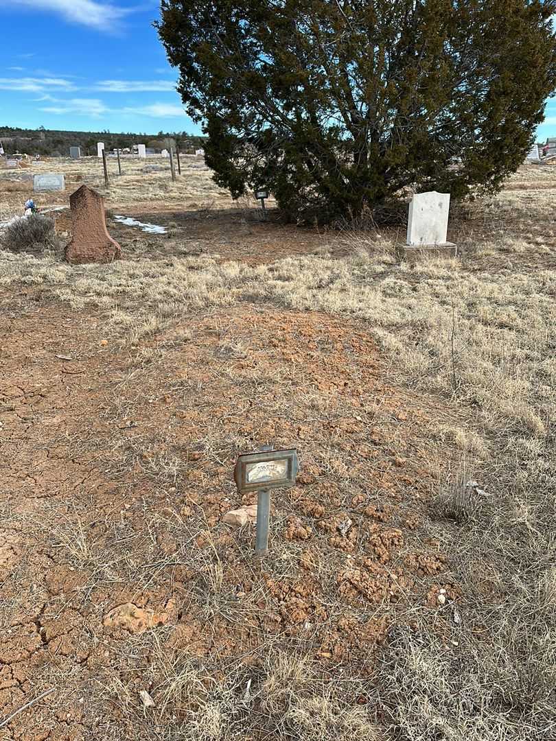 Amy Caroline Cherry Burns's grave. Photo 2