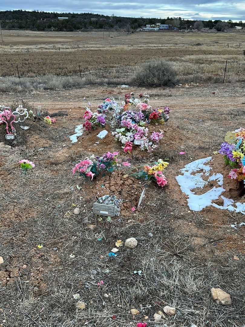Hope Sadie Becenti's grave. Photo 2