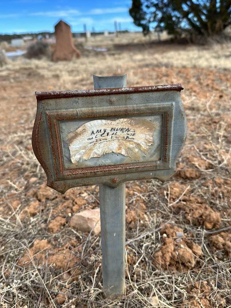 Amy Caroline Cherry Burns's grave. Photo 1