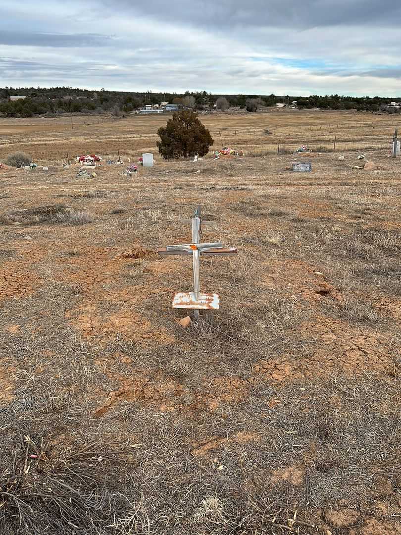 Elise Coho White's grave. Photo 2