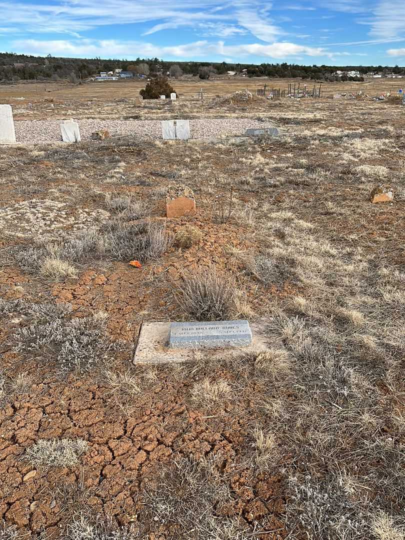John Willard James's grave. Photo 2