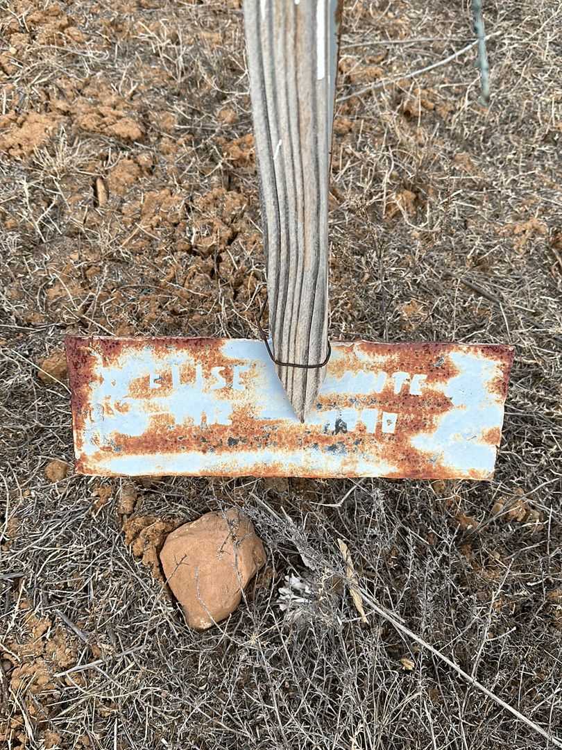 Elise Coho White's grave. Photo 1