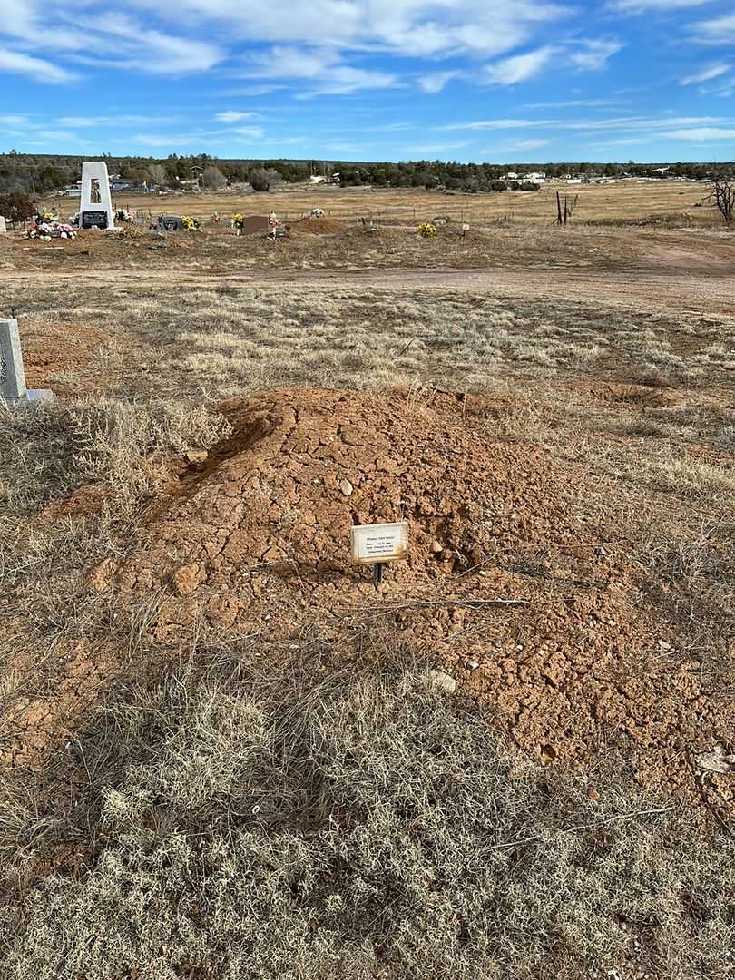 Thomas Earl Pettel's grave. Photo 2