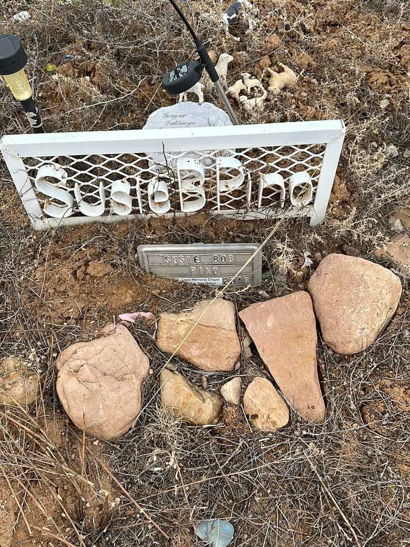 Susie Bob Pino's grave. Photo 1