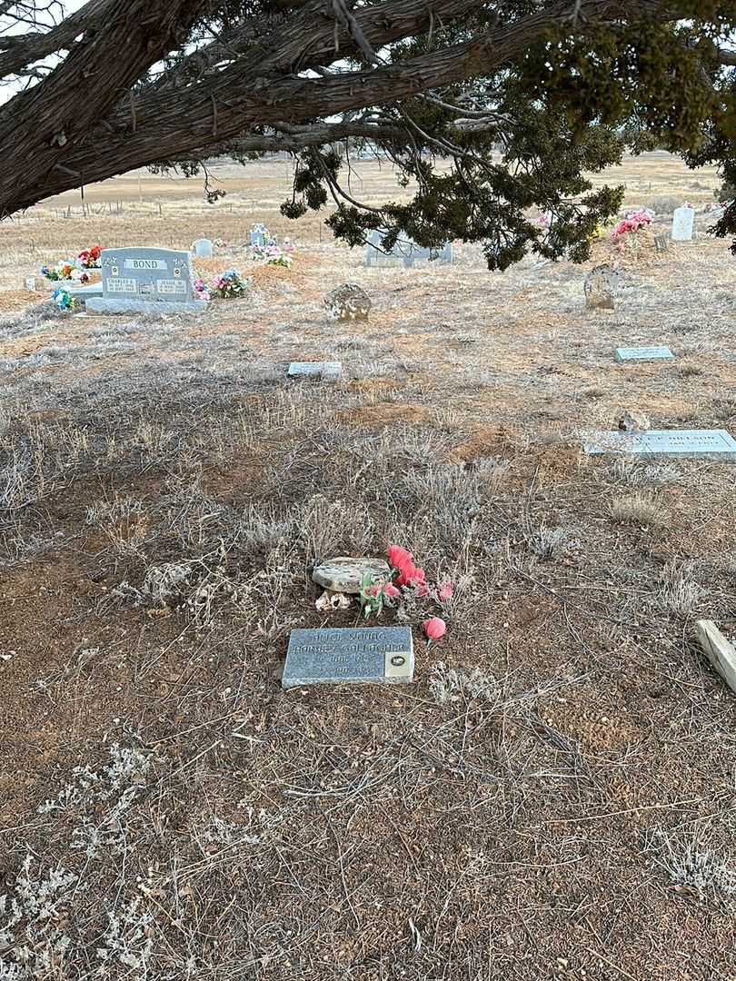 Alice Young Harvey Gallagher's grave. Photo 2