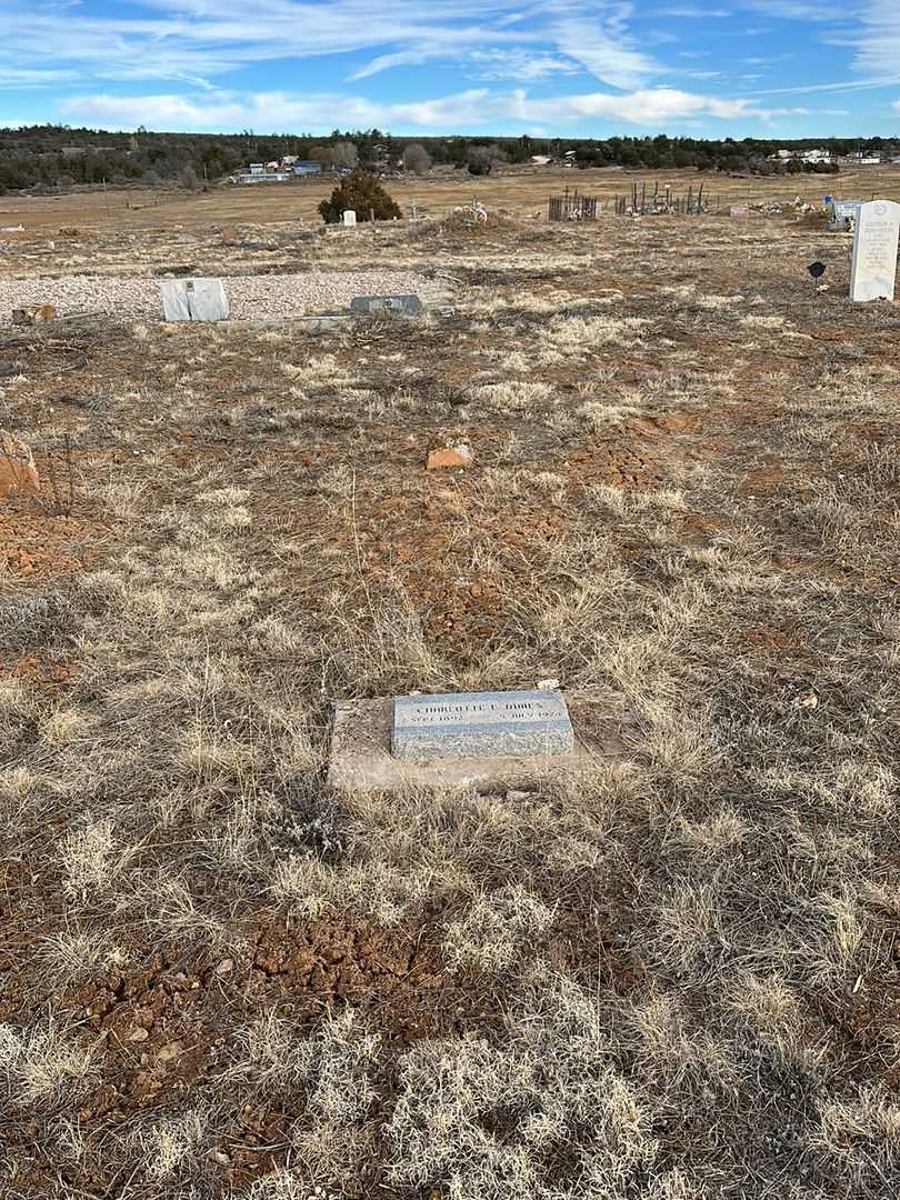 Charlotte L. Nelson James's grave. Photo 2