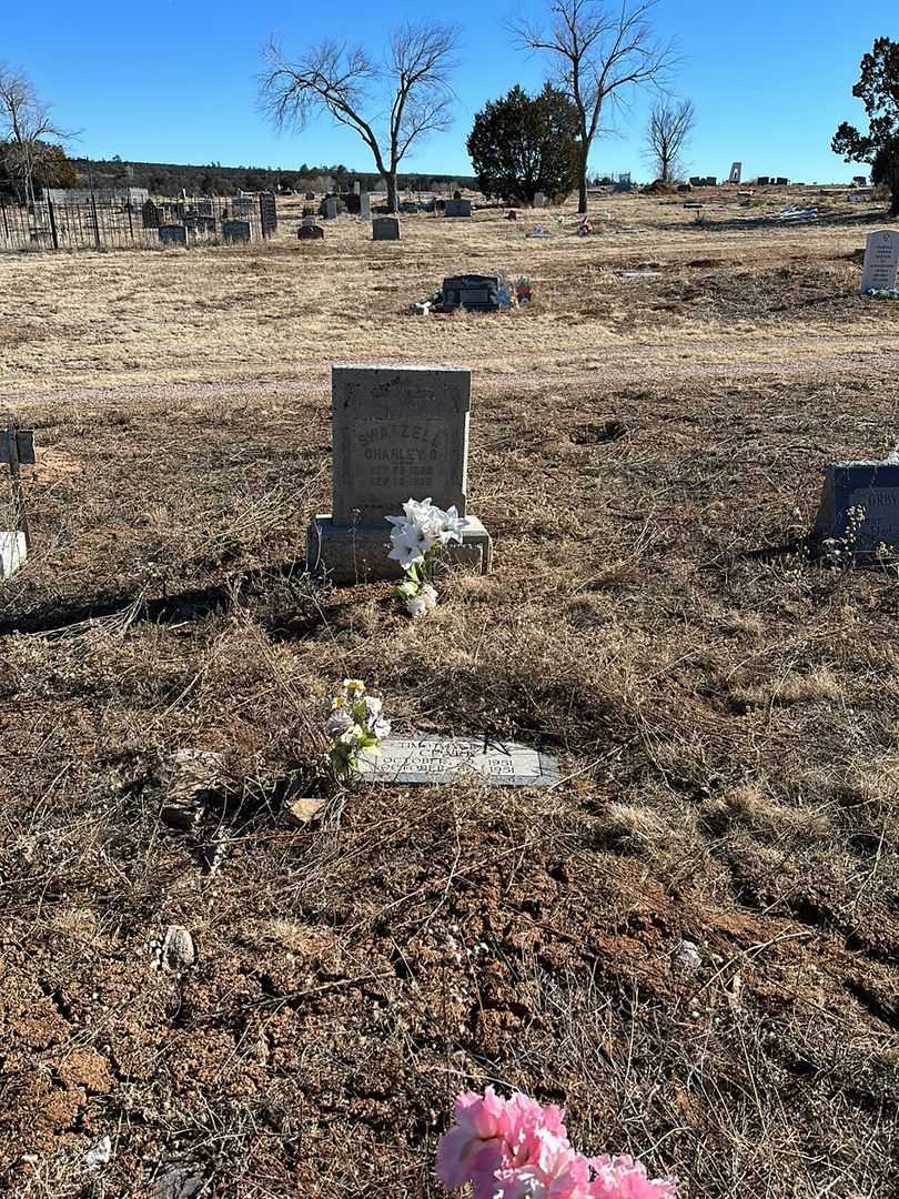 Timothy Ray Clark's grave. Photo 2