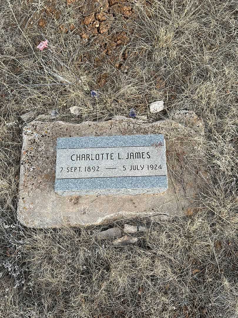 Charlotte L. Nelson James's grave. Photo 1