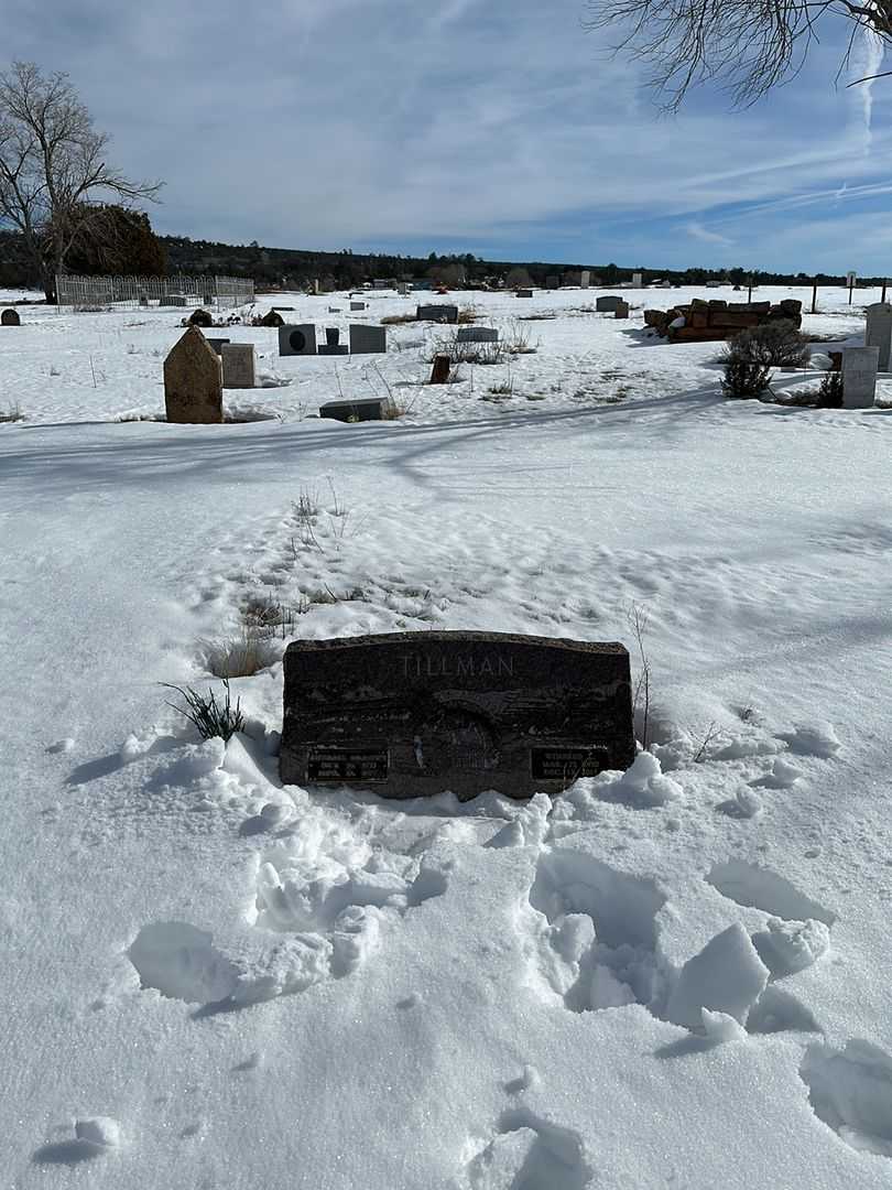 Winfred L. Tillman's grave. Photo 2